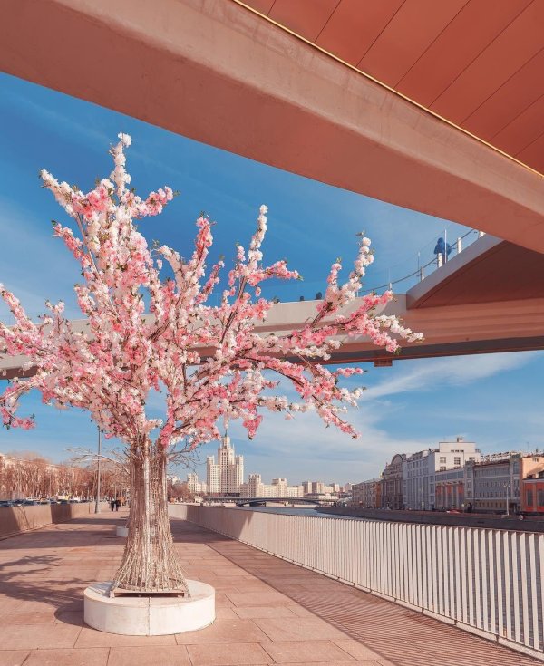 весенняя москва