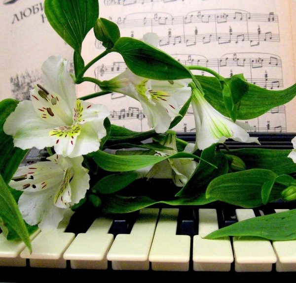 поздравление с днем музыки