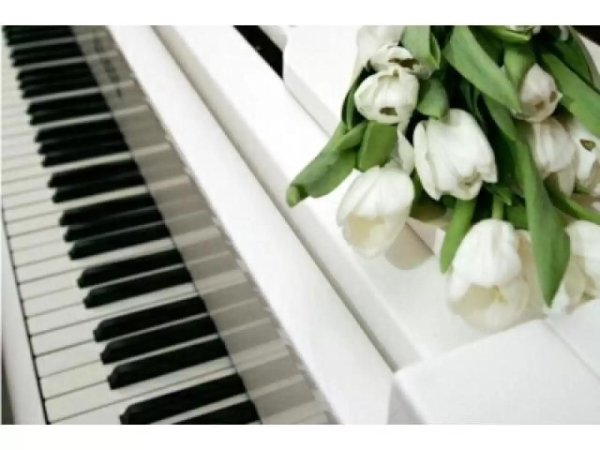 красивое пианино