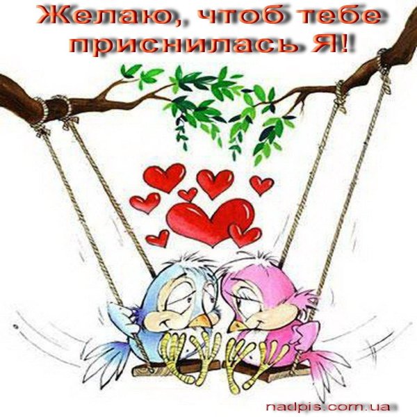 день святого валентина прикольные