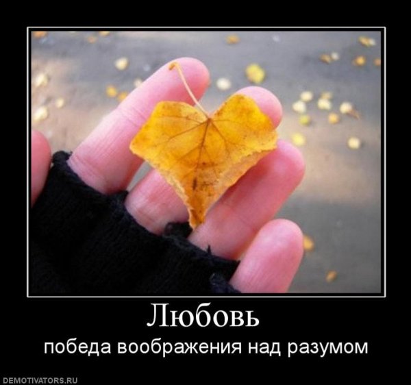 осень любви