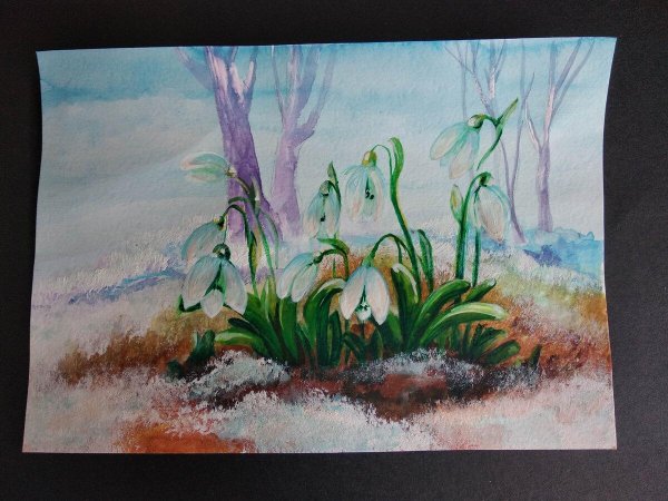 первоцветы подснежники акварель