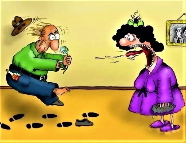 Жена прикольные