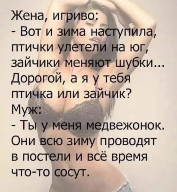 дорогой я у тебя зайка или птичка