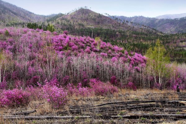 Весна на дальнем востоке