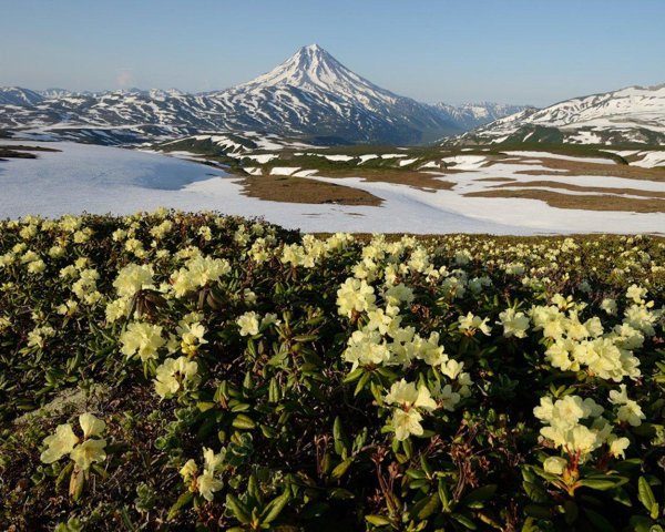 кроноцкий заповедник камчатка
