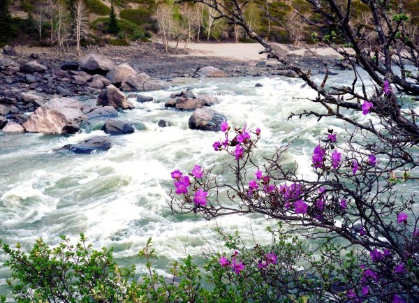 Весна на дальнем востоке