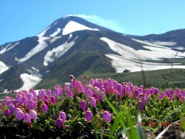 петропавловсккамчатский весной