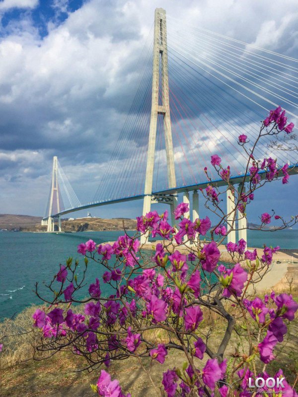 владивосток весной