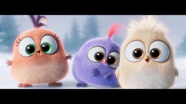 angry birds птенчики