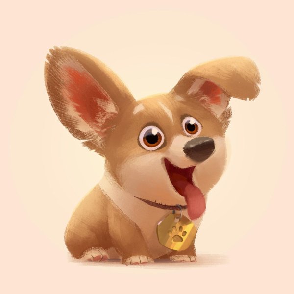 корги вельш