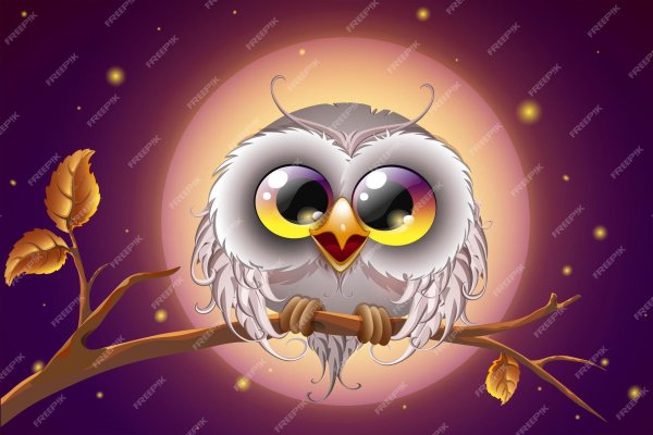 красивая сова