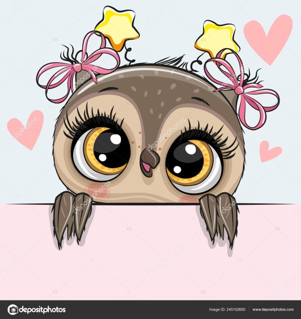 reginast777 сова