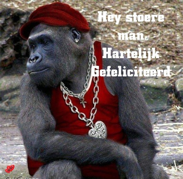 Обезьяна прикольные