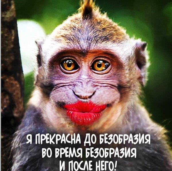 обезьянка с губами