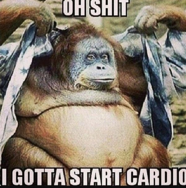 орангутан ижевский зоопарк