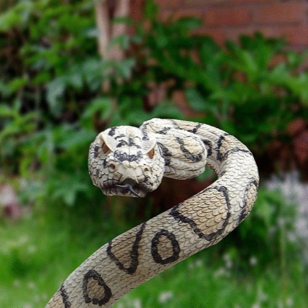 safari ltd обыкновенный удав