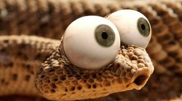 глаза у змеи