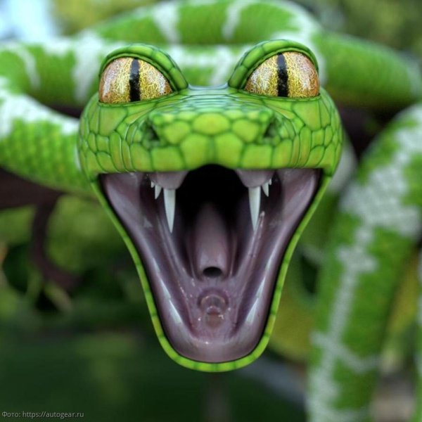 собакоголового удава