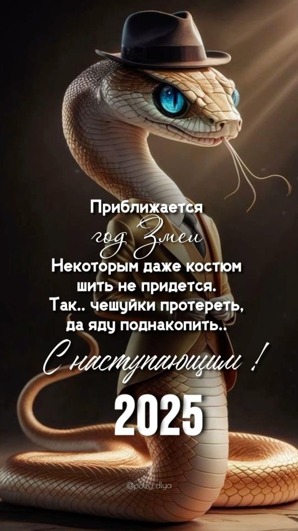 новый 2025 год змеи