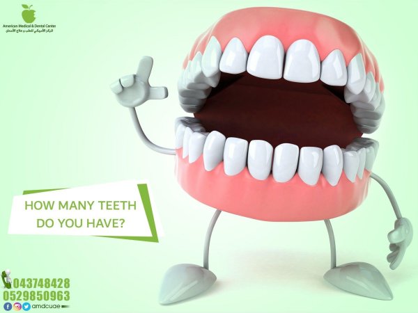 челюсть с зубами