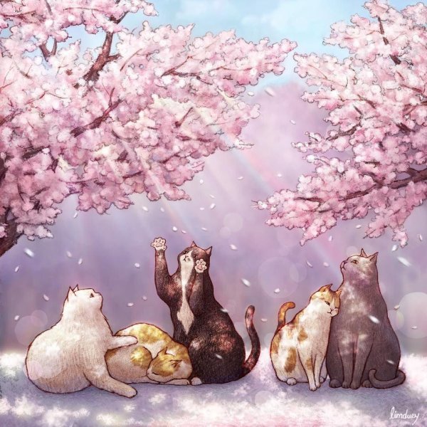 японский художник макото мурамацу