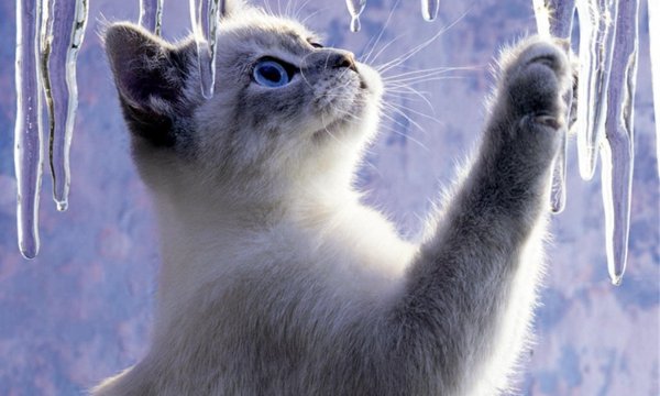 1 марта первый день весны