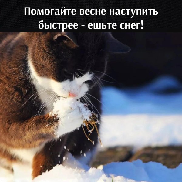 небольшой снег