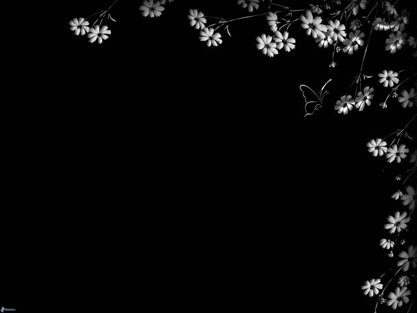 красивые фоны черные