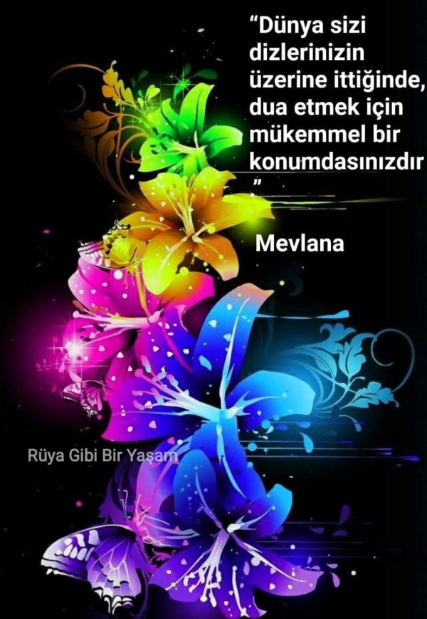 неоновые цветы