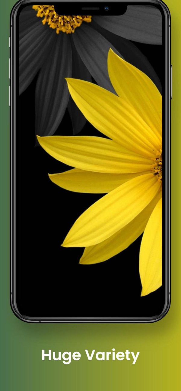 чёрно желтые