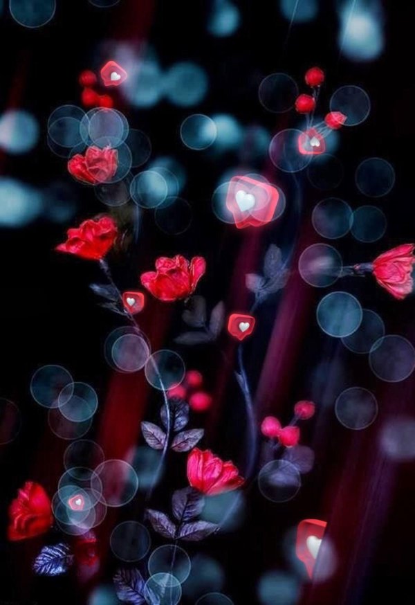 цветочные фоны