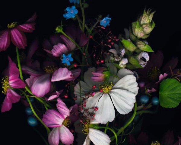 цветочные картины