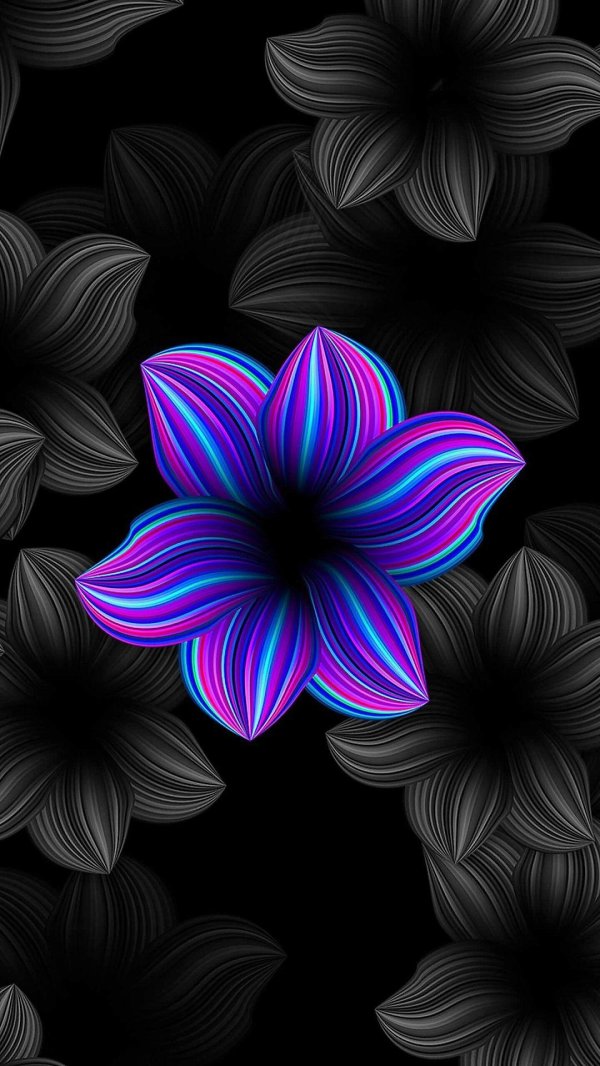 цветок на темном фоне