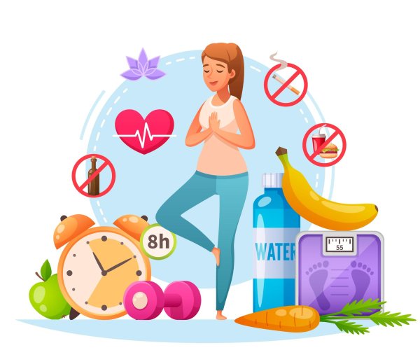 правила зож