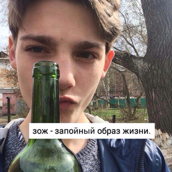 зож мем