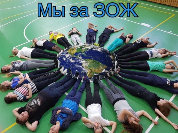 зож в школе