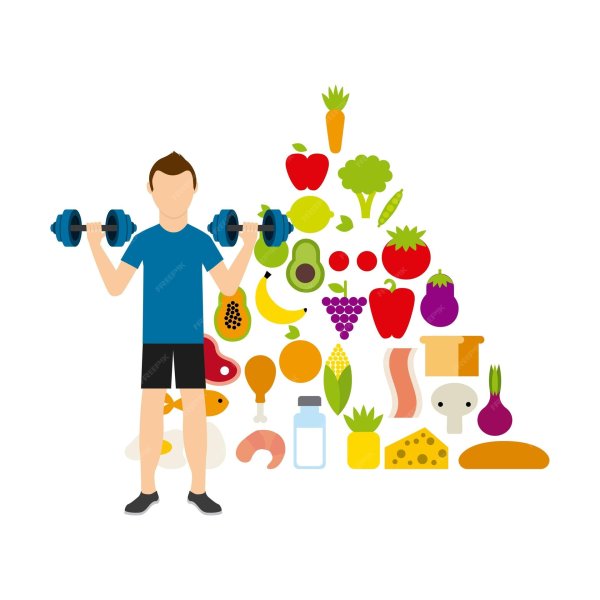 зож векторная графика