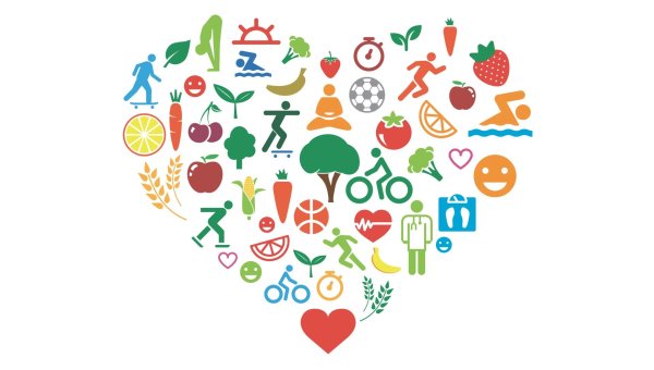 зож клипарт