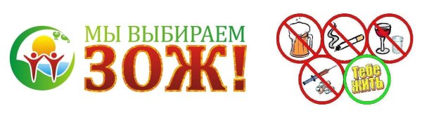 зож вредные привычки