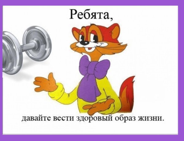 давайте жить дружно кот леопольд