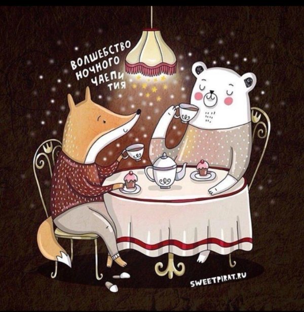 медведь пьет чай