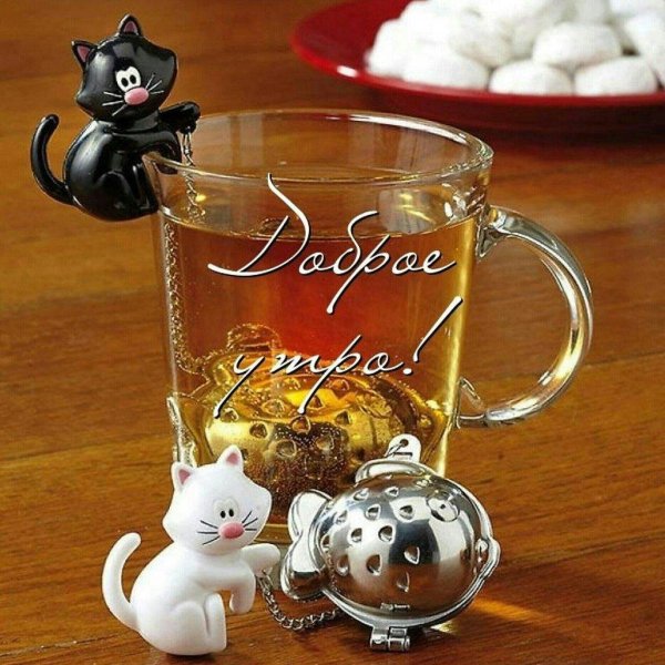 чайное ситечко