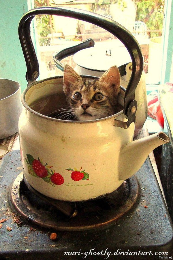 прикольные чайники