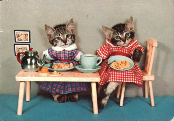 ретро открытки кошки