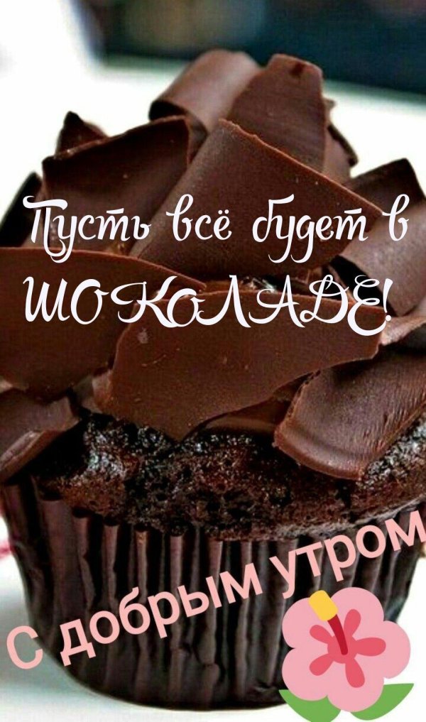 кекс шоколадный