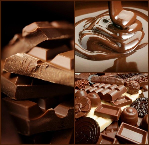 вред и польза шоколада