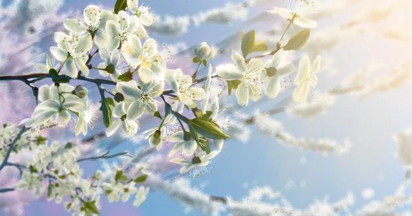 фон весенний