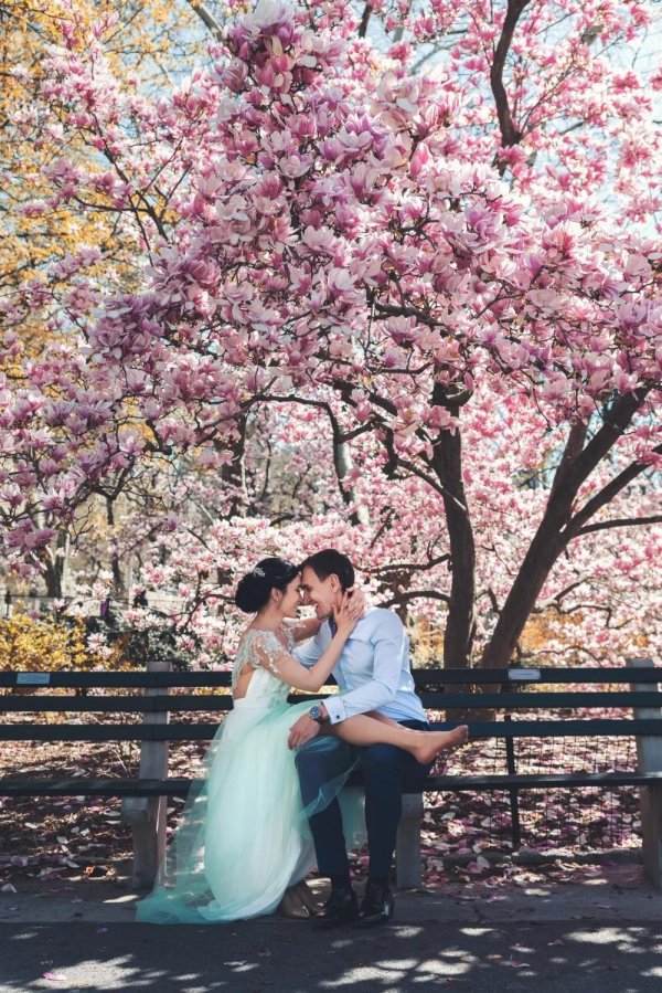 влюбленные под сакурой