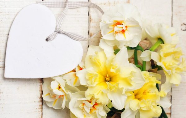 нарцисс сорта